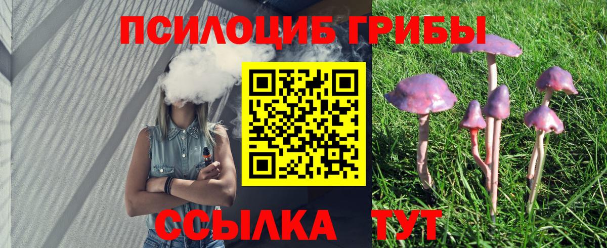 Псилоцибиновые грибы Cubensis Нягань